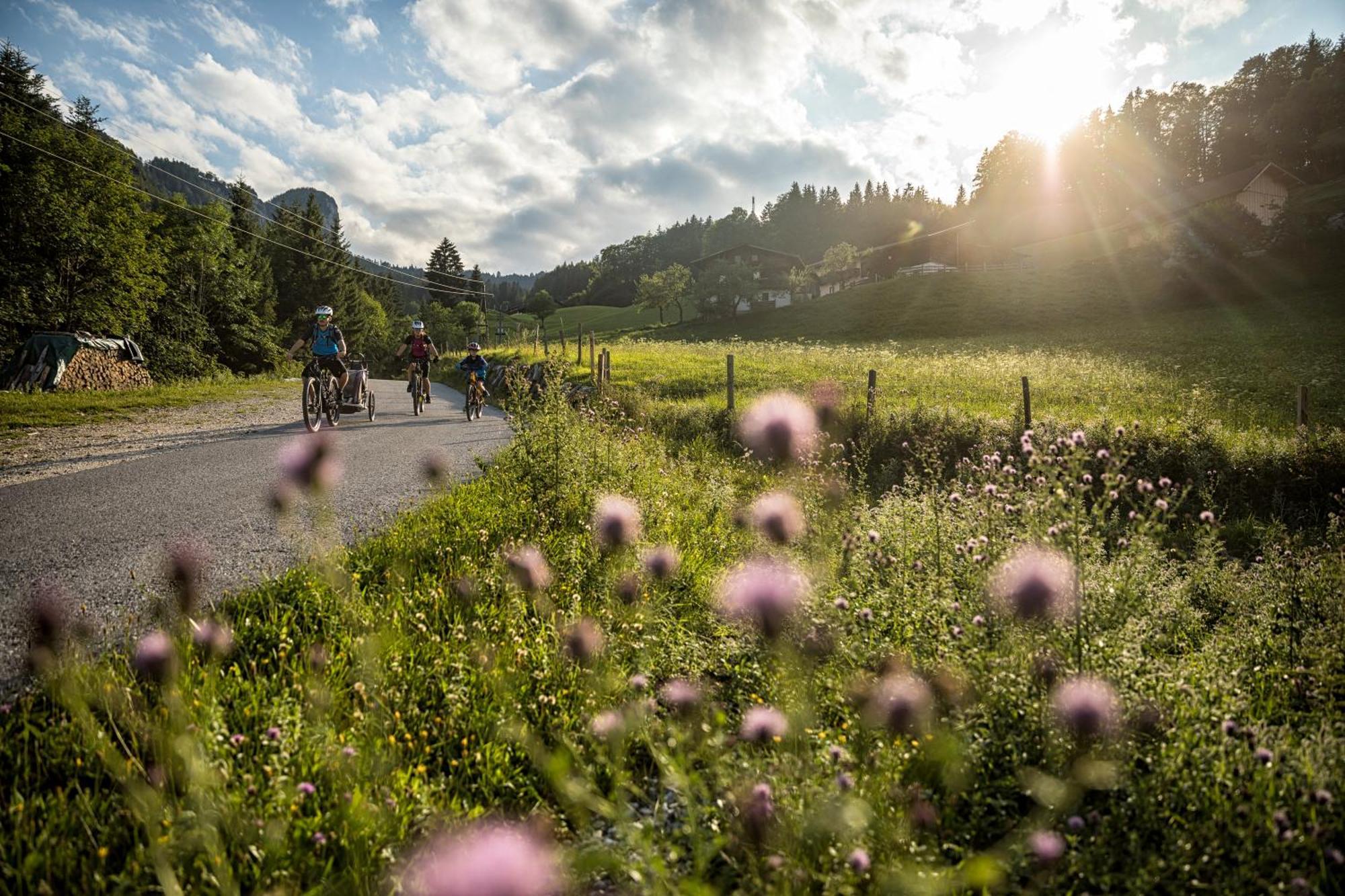 Dorfcafe Unken Hotelpension Swirtshaus Im Dorf エクステリア 写真