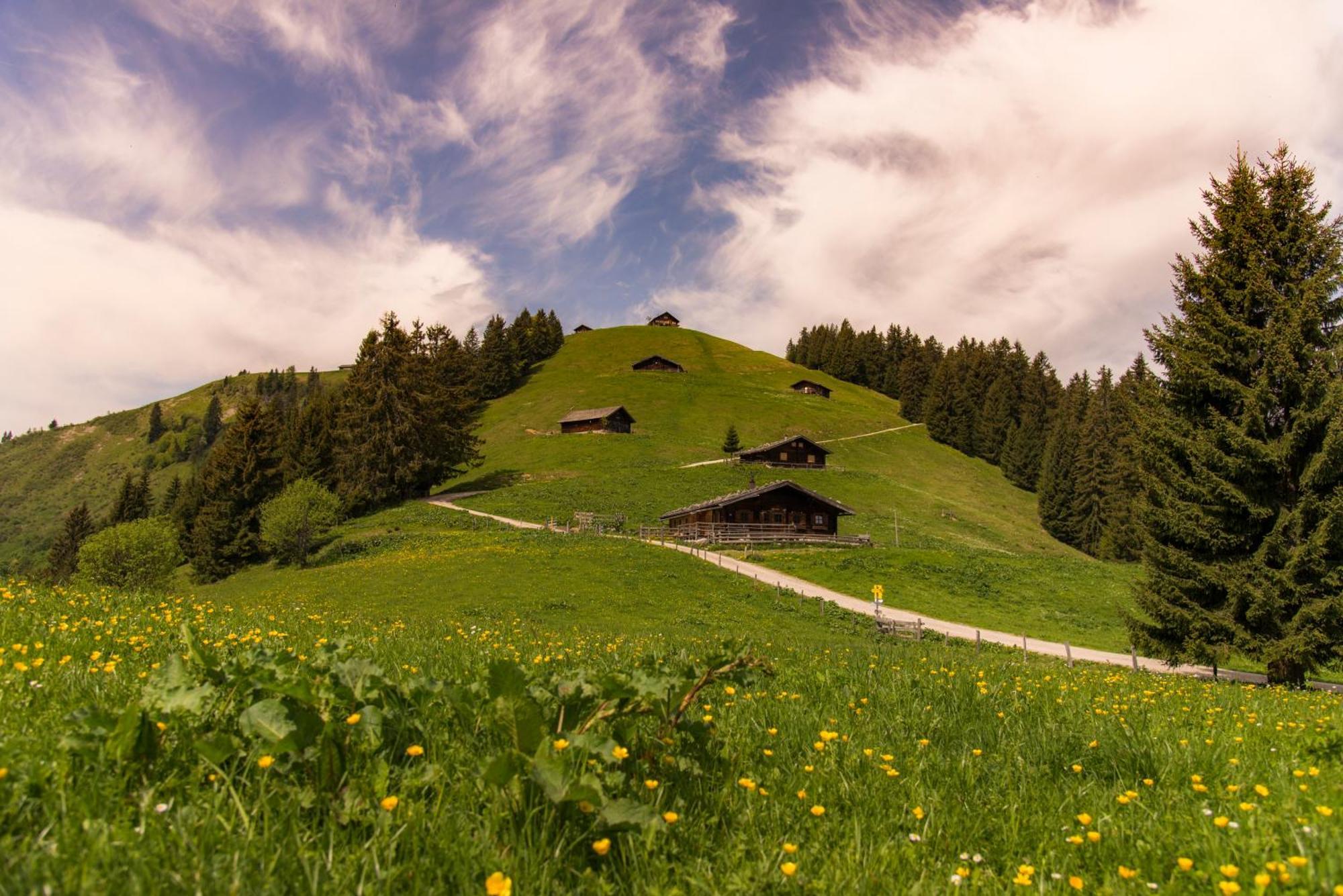 Dorfcafe Unken Hotelpension Swirtshaus Im Dorf エクステリア 写真